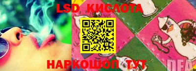 стаф Канаш