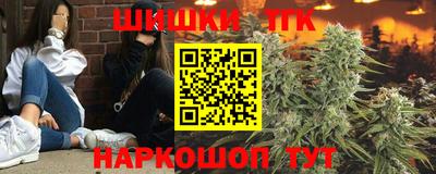 прущие крисы Камышлов