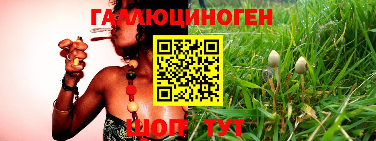 Галлюциногенные грибы ЛСД Краснознаменск